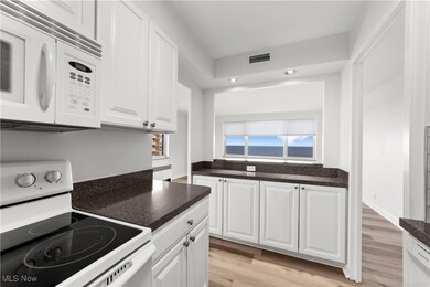 11850 Edgewater Dr unit 804, Lakewood, OH 44107 - photo 6