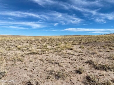 0 N Porter Rd unit 238403, Joseph City, AZ 86032 - photo 4