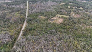 5000 NW Little Cat Rd, Madison, FL 32340 - photo 7