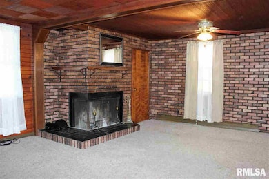 30629 52nd Ave N, Hillsdale, IL 61257 - photo 3