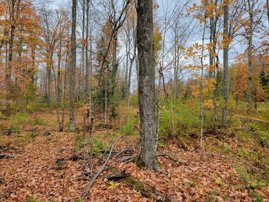 ON Cth A unit Lot 2, Deerbrook, WI 54424 - photo 2