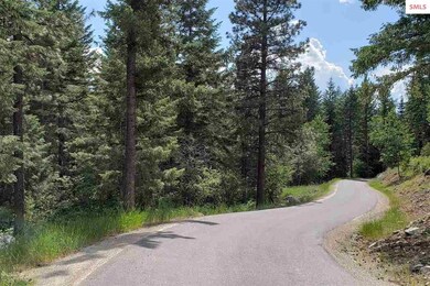 NNA Redtail Hawk Rd, Sandpoint, ID 83864 - photo 3