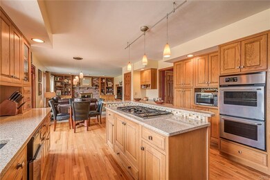 Open grill style stove and new ovens!