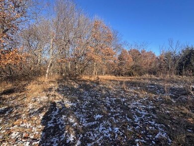 0 NE Camden Rd unit 11614061, Maysville, MO 64469 - photo 4