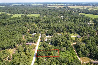 TBD Mossyknoll Dr, Plantersville, TX 77363 - photo 5