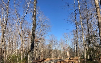Additional View