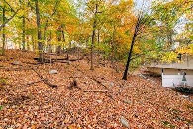 3 Undercliff Ln, Lincoln Park, NJ 07035 - photo 6