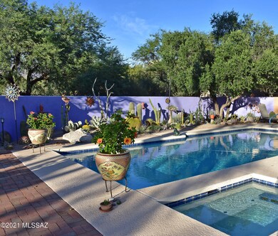 Backyard and Spa