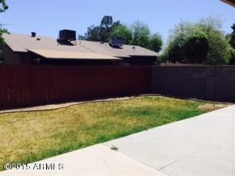 backyard 2