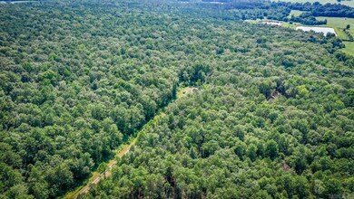 000 Mazanec Lane - Lot 2, Clinton, AR 72031 - photo 7