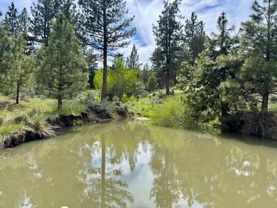 89384 Oregon 140, Lakeview, OR 97630 - photo 6