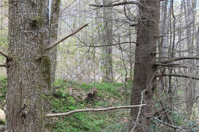 0000 Big Spring Trail unit 61, Qualla, NC 28719 - photo 4