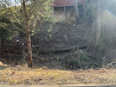 Lot 18 J E D Trail, Sevierville, TN 37862 - photo 4