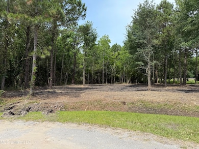 0 East St, Waveland, MS 39576 - photo 2