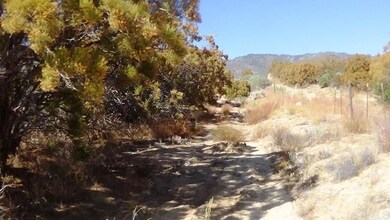 37245 Old Forest Rd, Anza, CA 92539 - photo 6