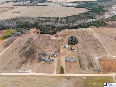 TBD Bryant St, Darlington, SC 29540 - photo 3