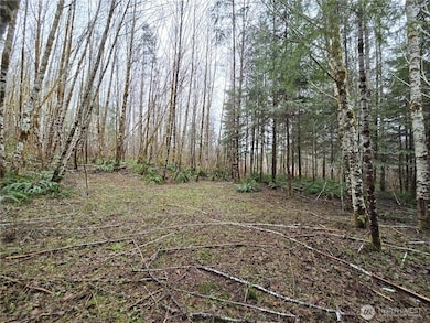 0 Lot 4 W Elk Hill Rd, Elma, WA 98541 - photo 3