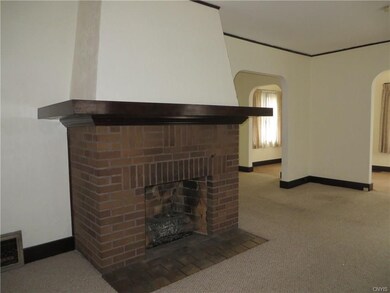 Wood burning fireplace