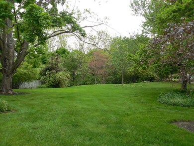 Backyard Views