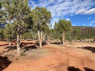 Trees Trimmed