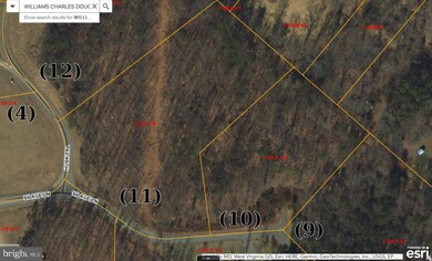 10 Silage Ln, Berkeley Springs, WV 25411 - photo 5