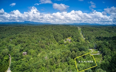 216 Toccoa River Forest Ln, Mineral Bluff, GA 30559 - photo 2