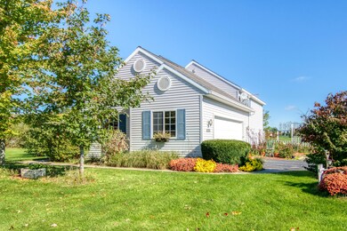 Foreman Farms 11371-1