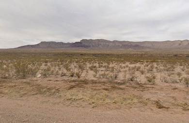 Quarter Horse Run, Sierra Blanca, TX 79851 - photo 5