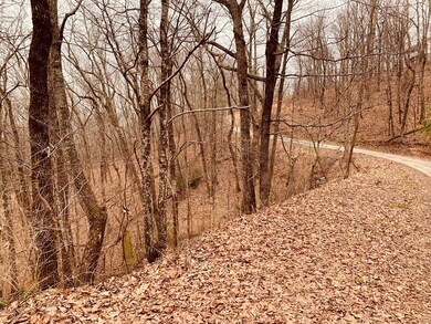 0 Bull Gap Rd unit 120310, Jasper, GA 30143 - photo 2