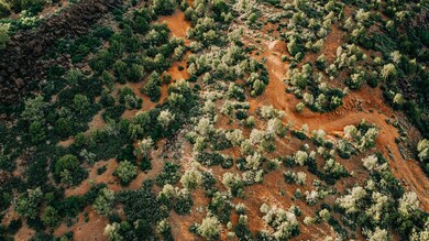 DJI_0230