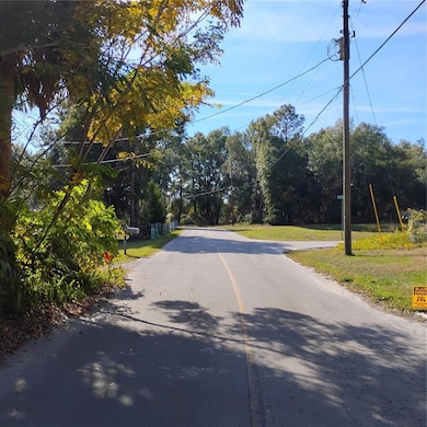 TBD SE 61st Place, Ocklawaha, FL 32179 - photo 2