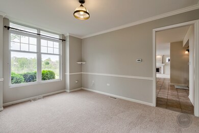 4759 Clearwater Ln unit 1, Naperville, IL 60564 - photo 2