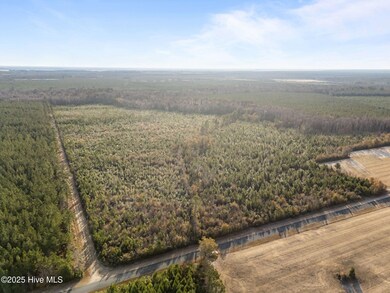 0, Aurora, NC 27806 - photo 4