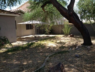 One of the largest backyards