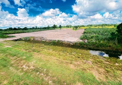 17385 NW 314th St, Okeechobee, FL 34972 - photo 2