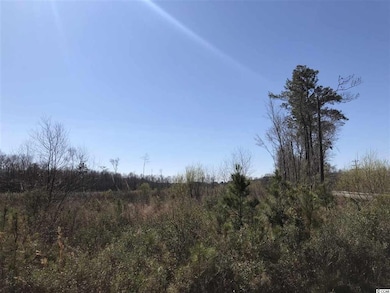 4000 Highway 19, Conway, SC 29526 - photo 3