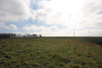 413 Impulse Ln, Yellville, AR 72687 - photo 7