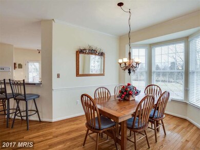 43443 Quigley Ln, Chantilly, VA 20152 - photo 5