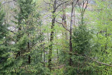 21 Crooked Mountain Rd unit E, Lincoln, NH 03251 - photo 5