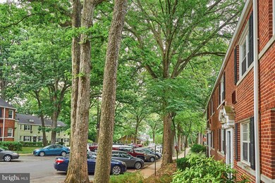 208 N Trenton St unit 1, Arlington, VA 22203 - photo 6