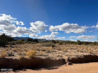 0000 N Running Brook, Hackberry, AZ 86411 - photo 5