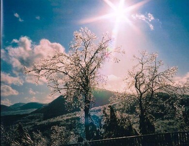 Winter wonderland!