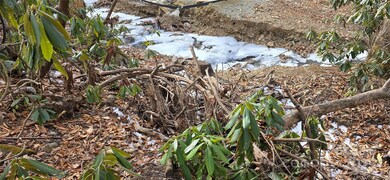 Lot 42 Twinbrook Ln, Maggie Valley, NC 28751 - photo 6