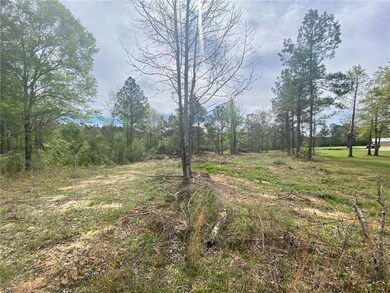 44035 Max Brumfield Rd, Franklinton, LA 70438 - photo 7