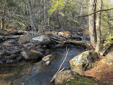 481 Chocorua Mountain Hwy, Tamworth, NH 03886 - photo 2