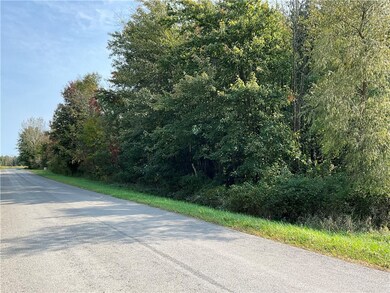 A partial view of the woods looking east.