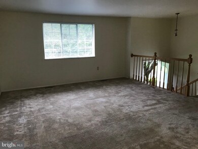 10508 Cavalcade St, Great Falls, VA 22066 - photo 5