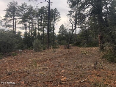 95 Wagon Wheel Way unit B5 ROS 3142 aka 3099, Strawberry, AZ 85544 - photo 6