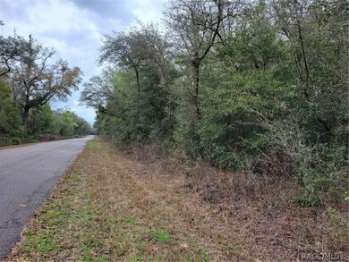 TBD SW Gering Blk 3 Lot 31 Ct, Dunnellon, FL 34432 - photo 2
