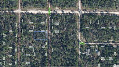 646 Jonathan St, Lake Placid, FL 33852 - photo 2